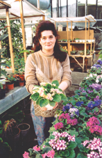 1-3.png (40105 bytes)