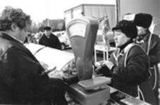 20.png (25390 bytes)