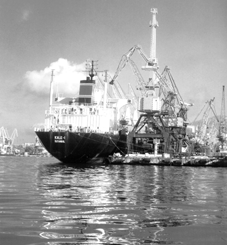 18.png (43562 bytes)