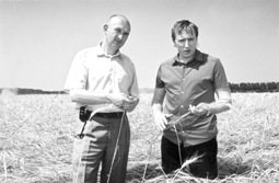 10.png (32802 bytes)