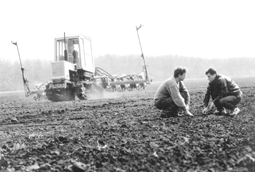 22.png (28940 bytes)